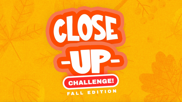 Closeup Challenge: Fall Edition On Screen Game