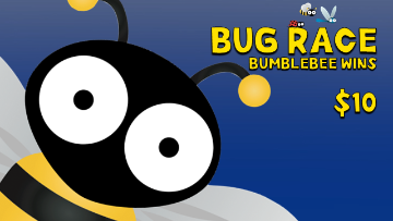 Bug Race [Bumblebee Wins] Racing Game Video