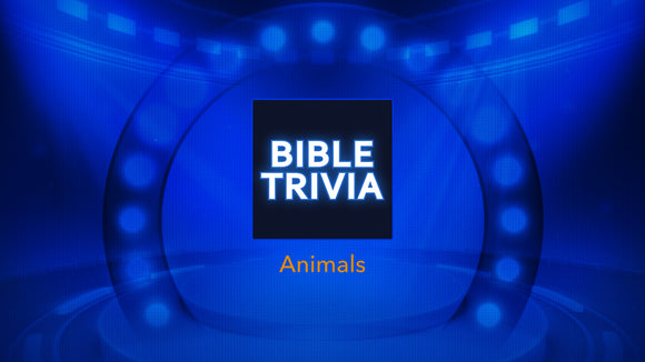 Animals Bible Trivia Game