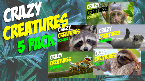 Crazy Creatures [5 Pack] On Screen Game
