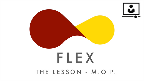Flex KidzMatter Lab - The Lesson M.O.P.