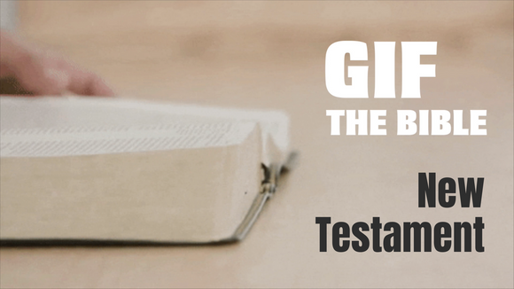 GIF the Bible: New Testament Bible Quiz Game