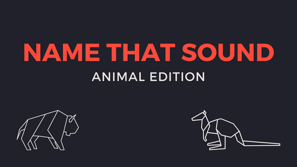 Name That Sound [Animal Edition] Crowd Breaker Video