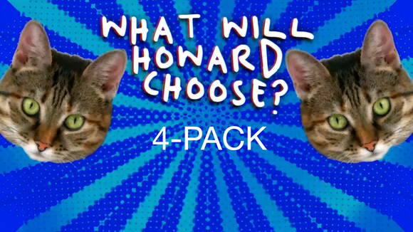 What Will Howard Choose (4 Pack) Crowd Breaker Game