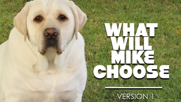 What Will Mike Choose? [Version1] Crowd Breaker Video